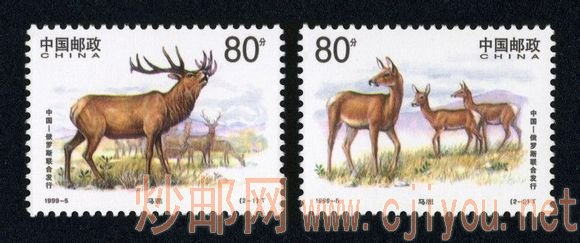 1999-5T ¹йͶ˹ϷУ1999.5.18.jpg