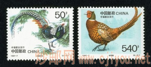 1997-7T ݣйϷ)1997.5.9.jpg