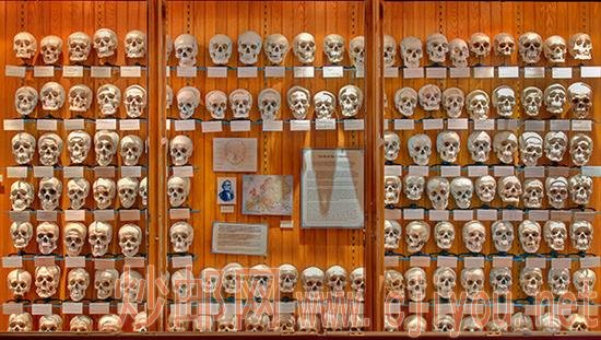 һǽͷ�ǣ�����ע�����䡢�����غ����򣨶������ɱ��������̣�