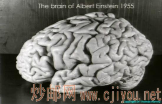 1955���ά������˹̹�����ĵ��գ������о�˵�м��и�����������ͨ�����ҿ�