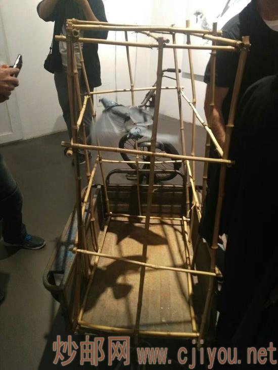 囚鸟的影子