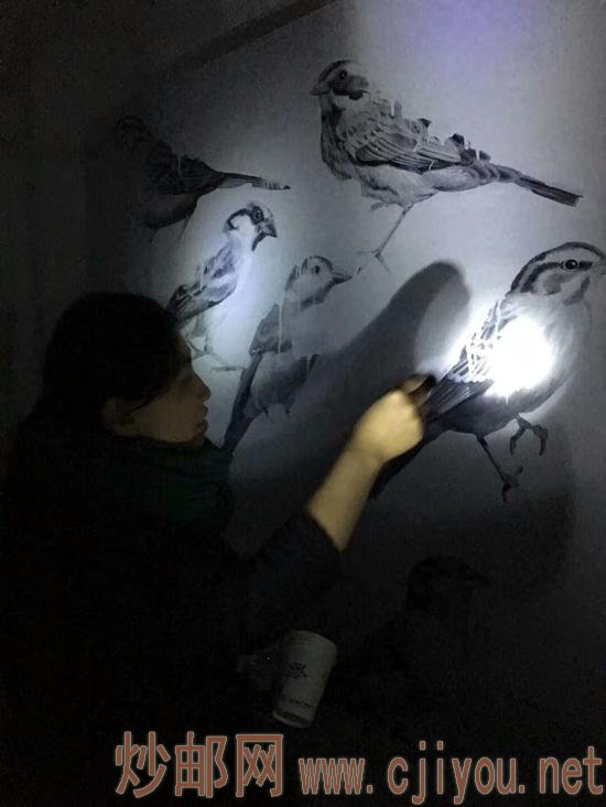 黑暗中的探寻