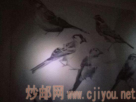 没有光,并不等于你不存在