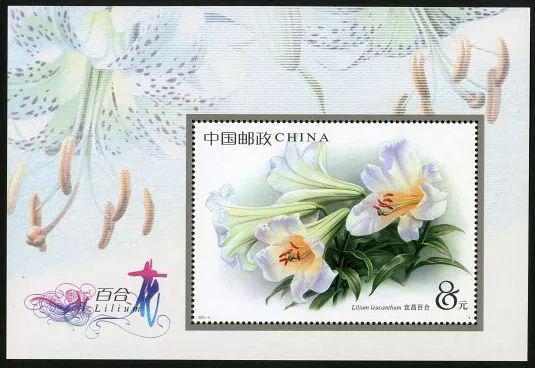 20033518գʮȫһλڱٿ