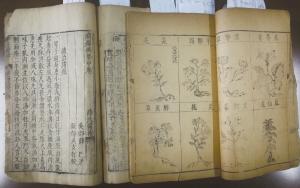 ����ӡˢ�桶���ݸ�Ŀ���͡�Ѧ��ҽ���� ������ ��