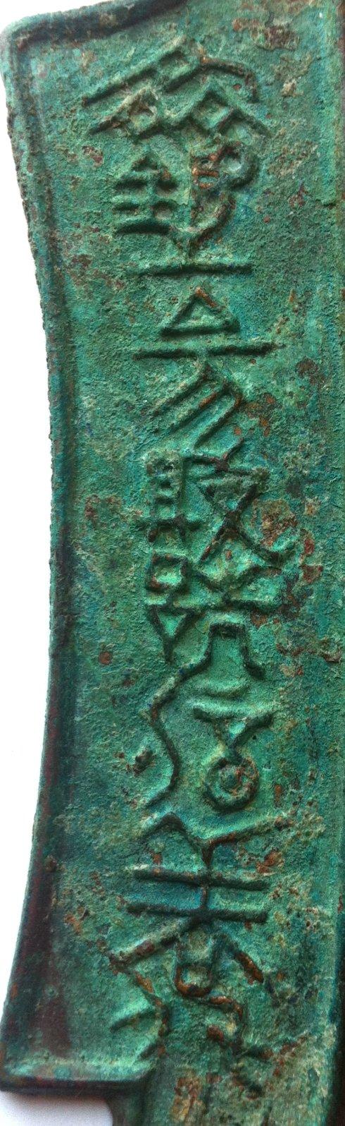 背 面 照