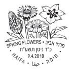 ɫ2018ϰʴ