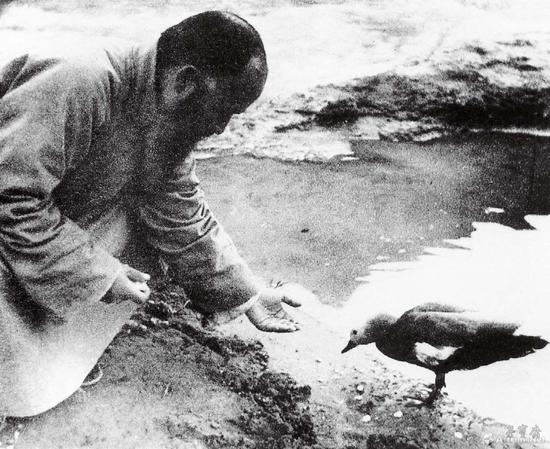 �Ŵ�ǧ�ڶػ���Ѽ�Ը�������