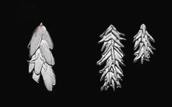 ���׺�����