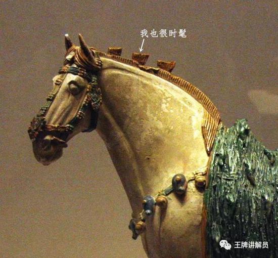 三花三彩马,唐代,中国国家博物馆藏