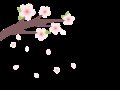 뷽 ҩ