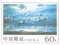 䣺7-8½ҪеƱʷƬͼ