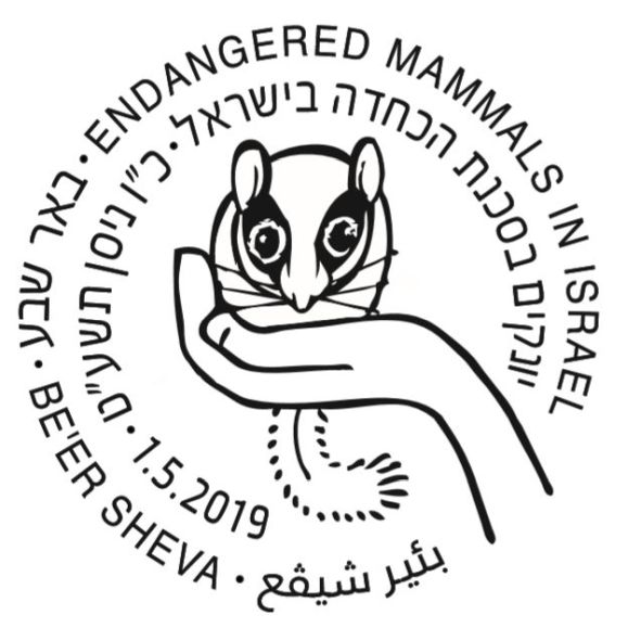 ɫ2019ϰʴ