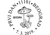 ά2019ϰʼʴ