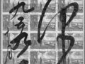 䡷ƱΪë󶫵ױǩ