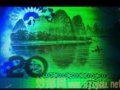 9920�ƽ�Ҷ��ֵ���