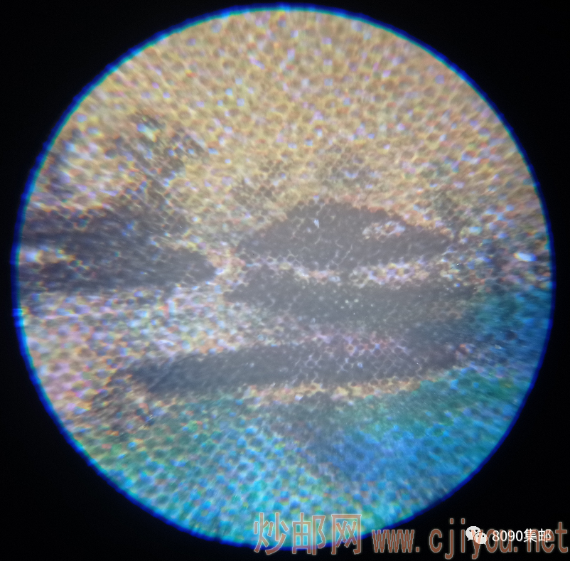 ͼƬ