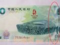 Ǯ޵ǲ³